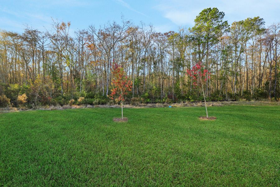 4br New Home in Pooler, GA.  - Slide 10