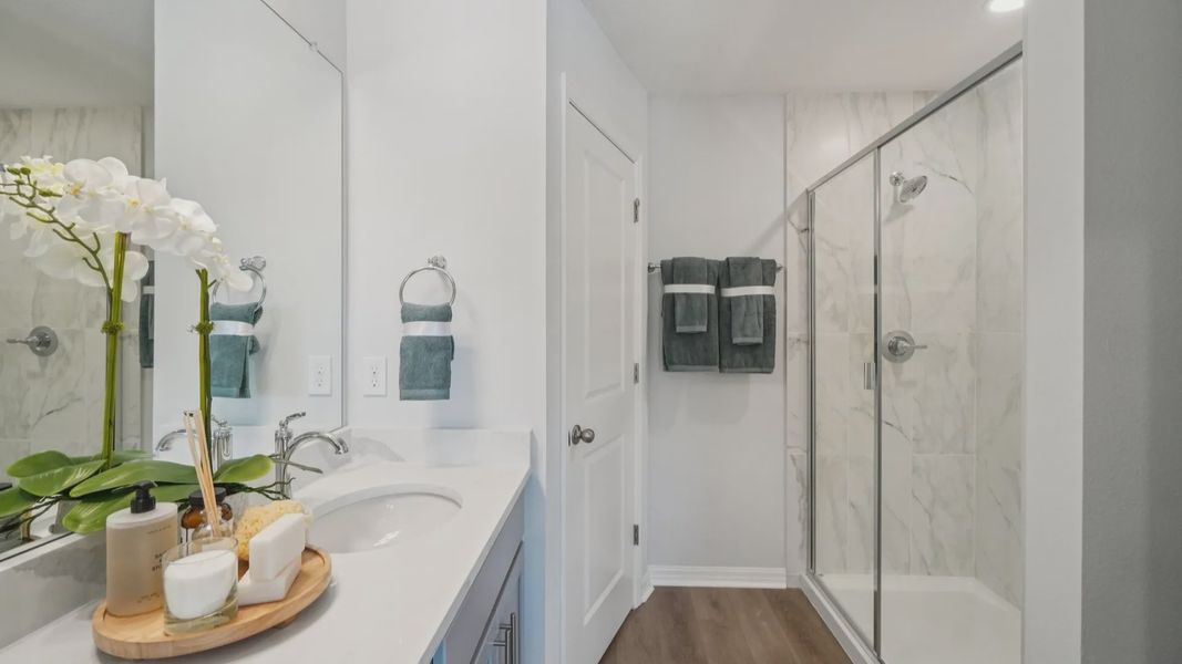 The Primary Bathroom