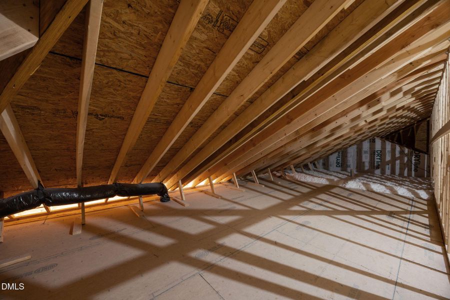 8-web-or-mls-IMG_3039