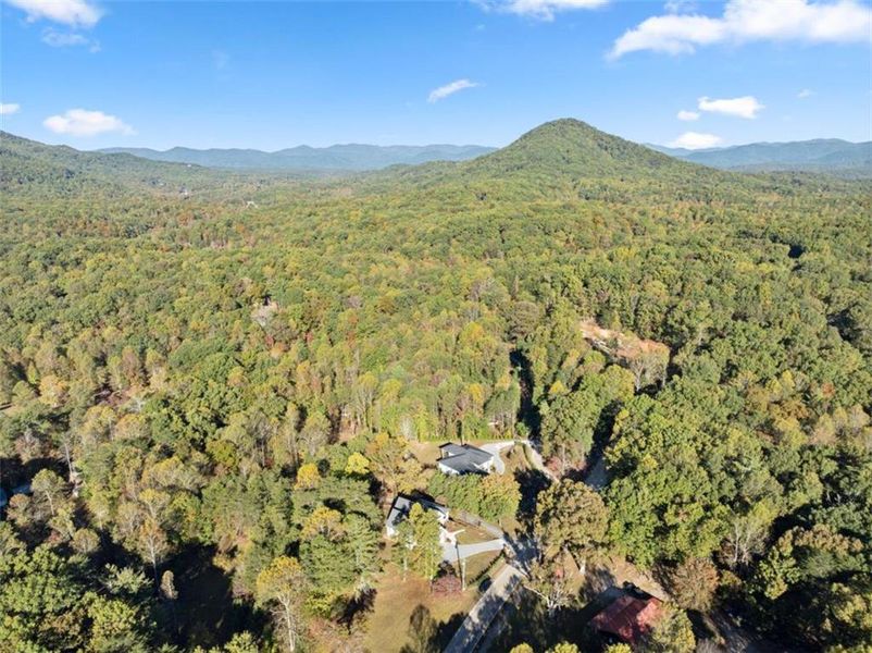 Natural landscape and outdoor views near  in Cleveland (Image 59).