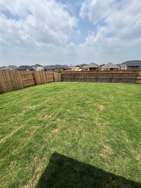 Back yard 2