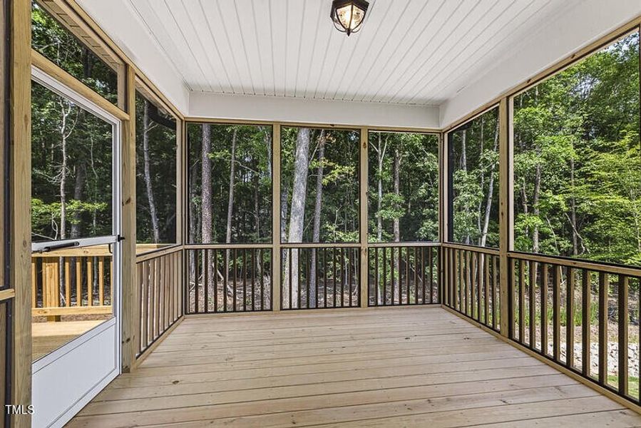 54564118940_8ac874cf4f_c