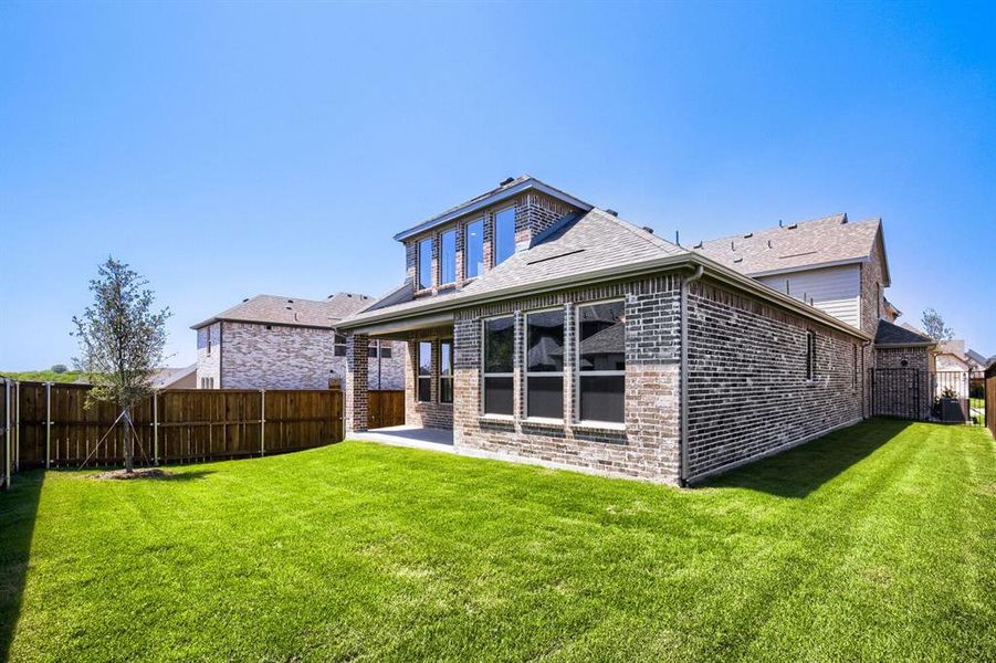 Expansive green lawn with a newly planted tree, bordered by a wooden privacy fence