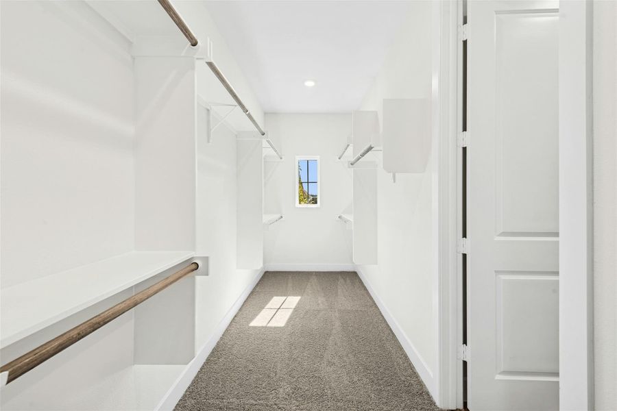 Spacious closet featuring carpet