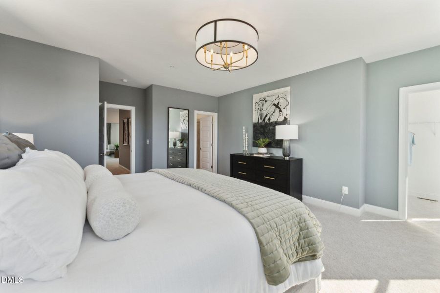 8-web-or-mls-DSC01019