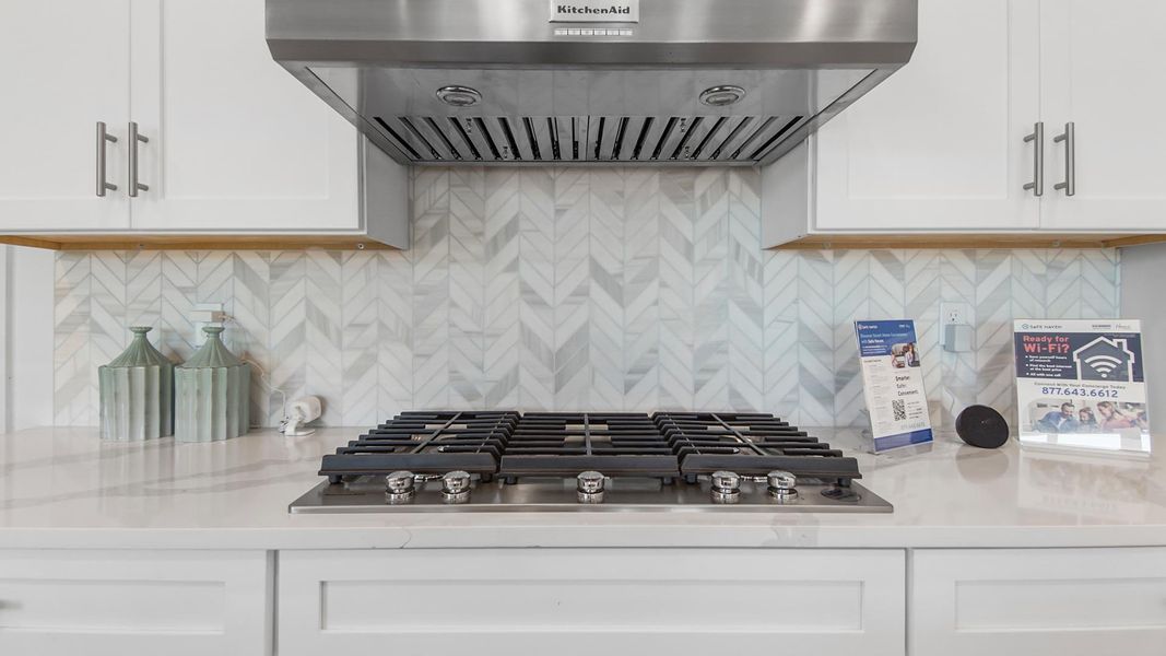 Image 39 representing the Jubilee by D.R. Horton in Breakfast Point East Phase II, Panama City Beach, FL.