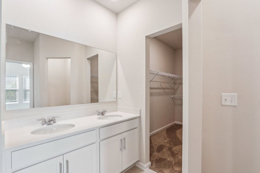 The Primary Bathroom