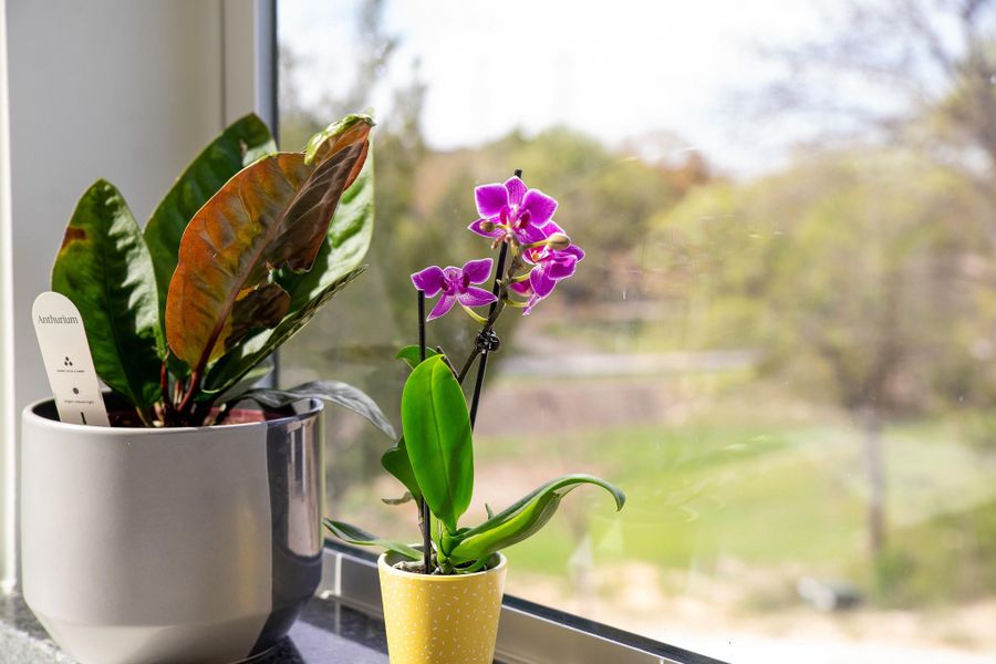 Close-up of interior finishes inside a home in , Fort Worth (Image 39).