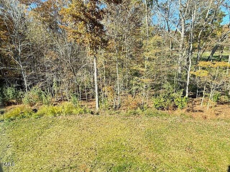 100 VR Back yard 100 VR Back yard