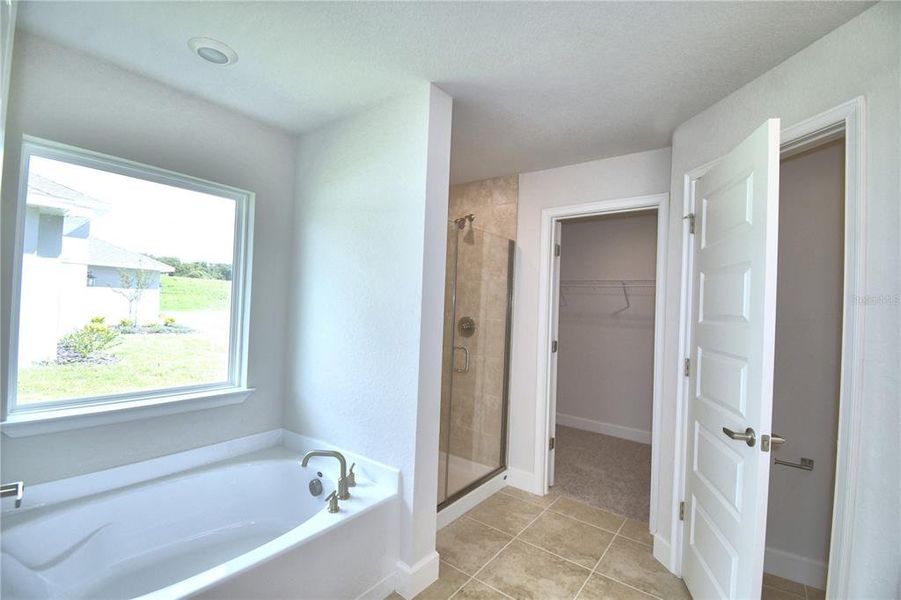 Image 45 of a home in Cadence Crossing.