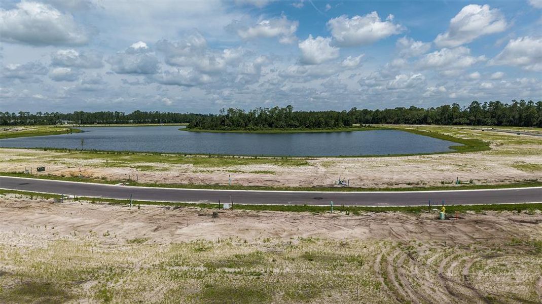 Site preparation for new homesites in Ardisia Park, New Smyrna Beach (Image 35).