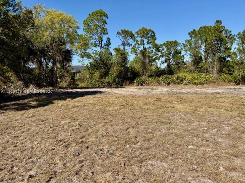 Natural landscape and outdoor views near in Lehigh Acres (Image 22). Natural landscape and outdoor views near in Lehigh Acres (Image 22).