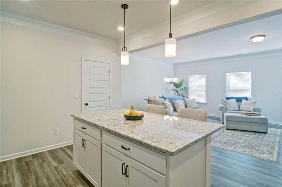 Furnished interior view inside a new home in Highland Crossing, Cartersville (Image 12).