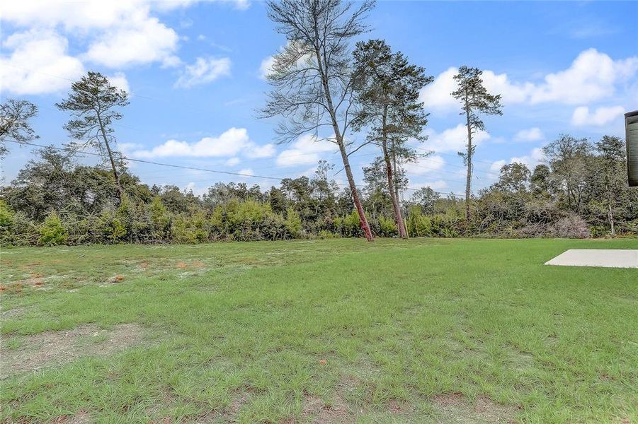 Natural landscape and outdoor views near  in Ocala (Image 29).