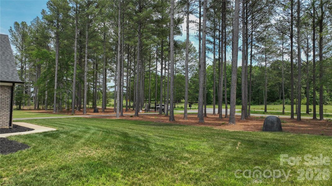 Natural landscape and outdoor views near  in Marshville (Image 33).