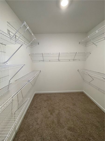 This organized walk-in closet offers ample storage