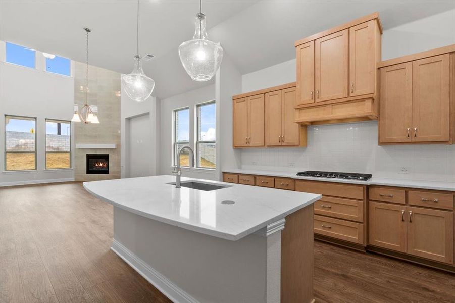 DAL_Painted Tree_Kilgore IV_3200 Vermilion Street (7)