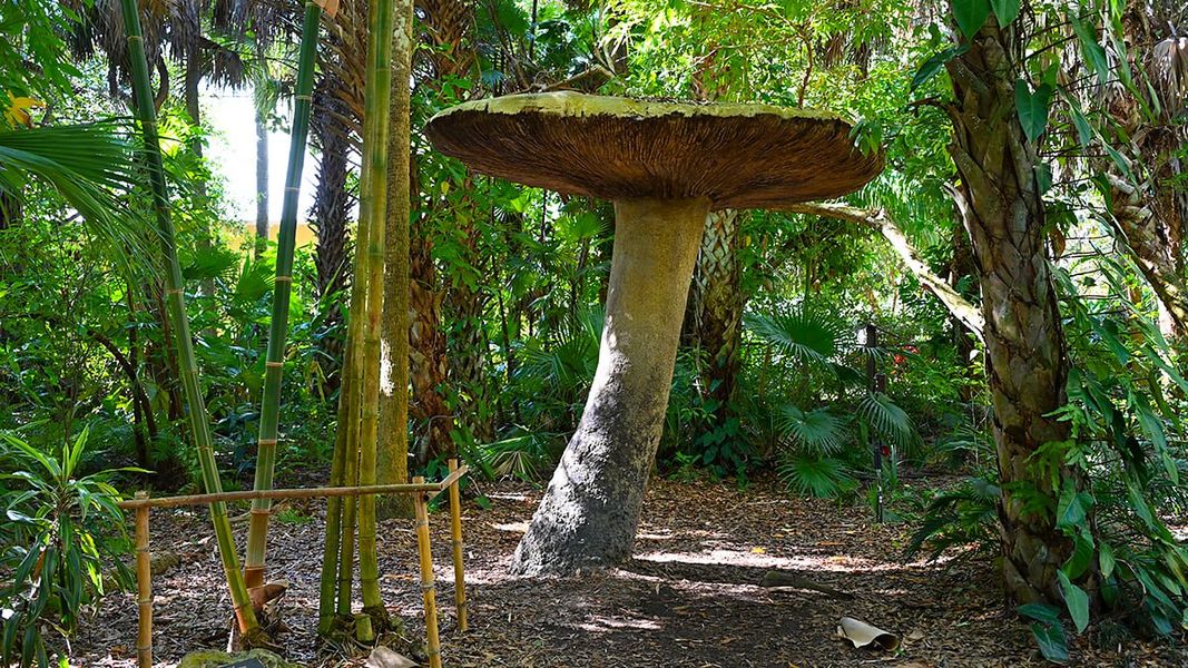 Natural landscape and outdoor views near Veranda Oaks in Port St. Lucie (Image 69).