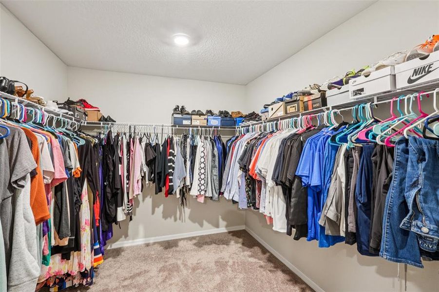 Close-up of interior finishes inside a home in Hawkstone, Lithia (Image 23). Close-up of interior finishes inside a home in Hawkstone, Lithia (Image 23).