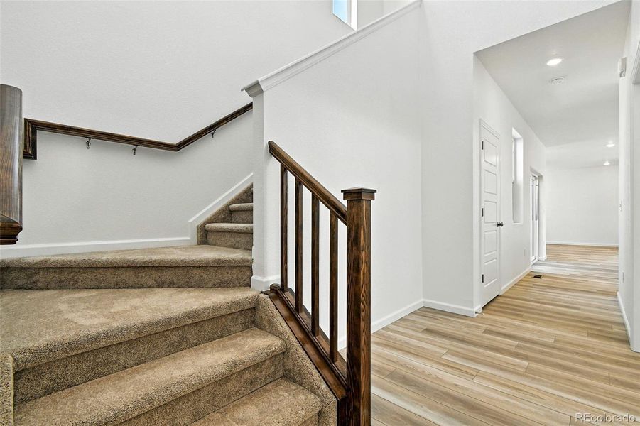 2087 Generations Aly ~ Ready Now 2087 Generations Aly ~ Ready Now