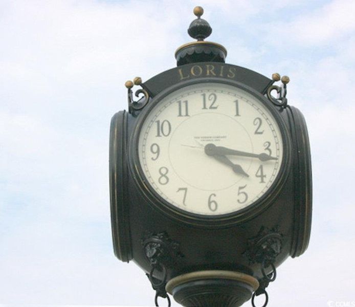 Close-up of interior finishes inside a home in Edgefield, Loris (Image 14).