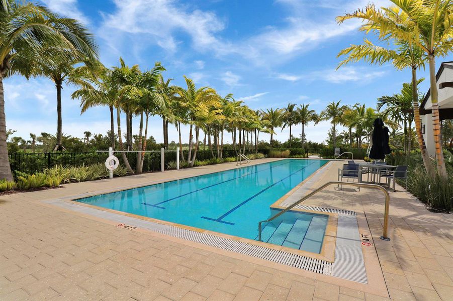 Lap Pool