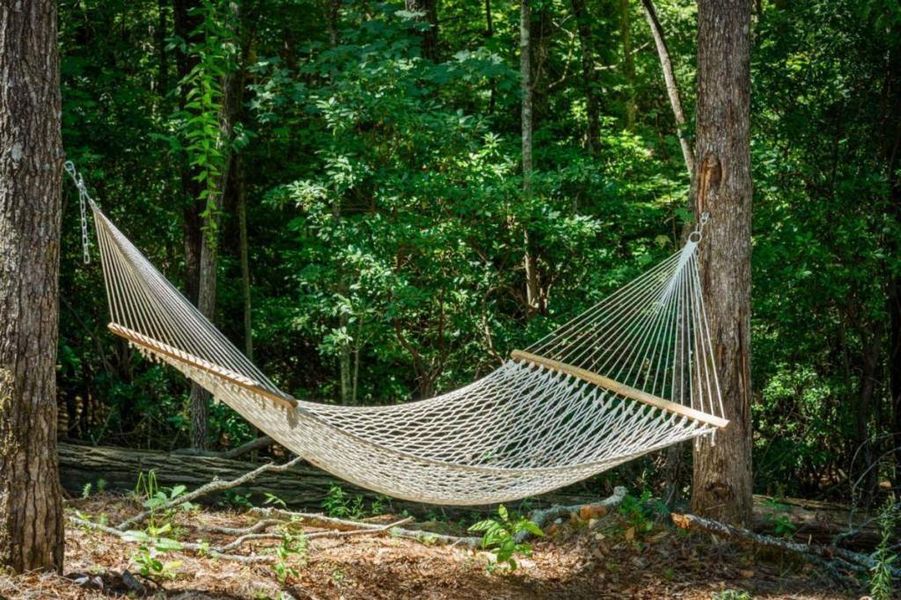 Natural landscape and outdoor views near  in Blue Ridge (Image 46).