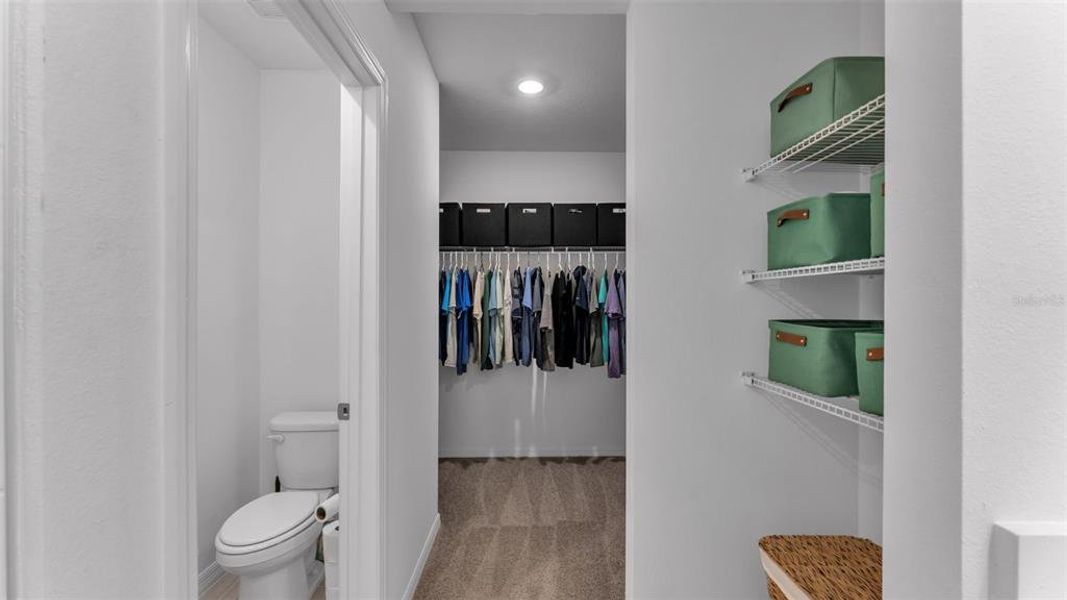 Furnished interior view inside a new home in The Grove at Stuart Crossing - Premier Series, Bartow (Image 13).