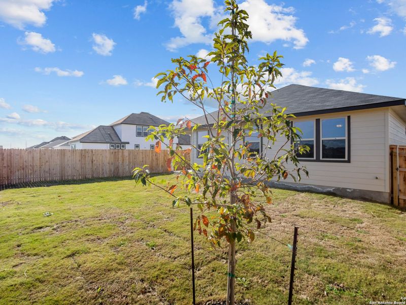Exterior details and patio area of a home in Hannah Heights, Seguin (Image 20).