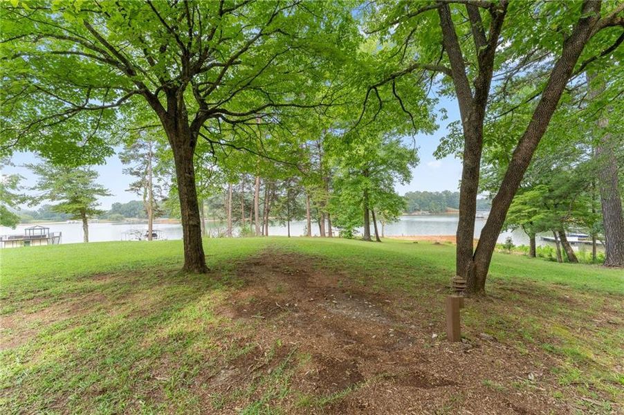 Natural landscape and outdoor views near  in Dawsonville (Image 100).