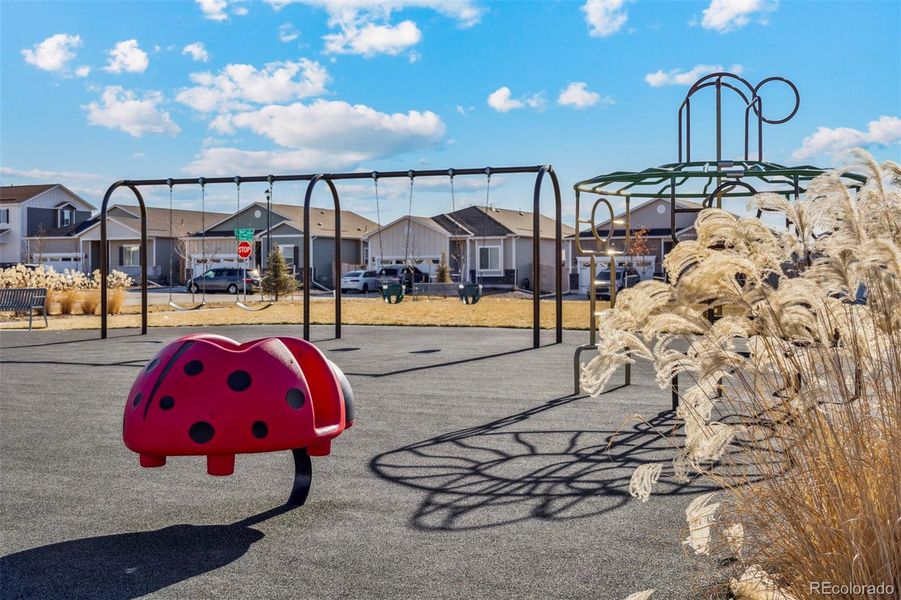 Community amenities in Second Creek Farm, Commerce City (Image 16).