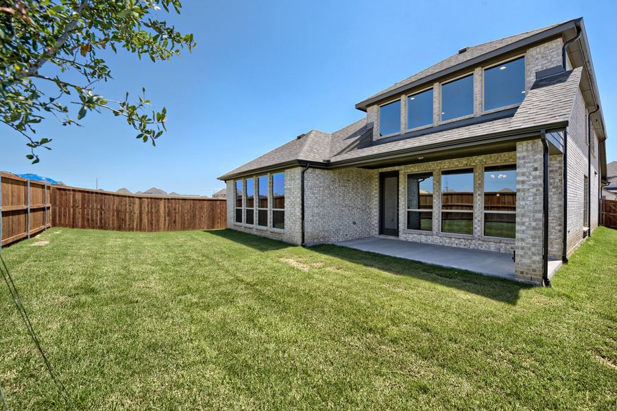 11529 Hardwick - Backyard