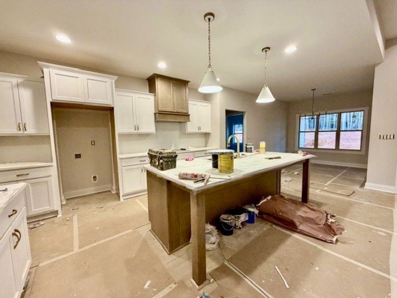 In-progress construction of a new home in Lakefield, Palmetto, GA (Image 7).