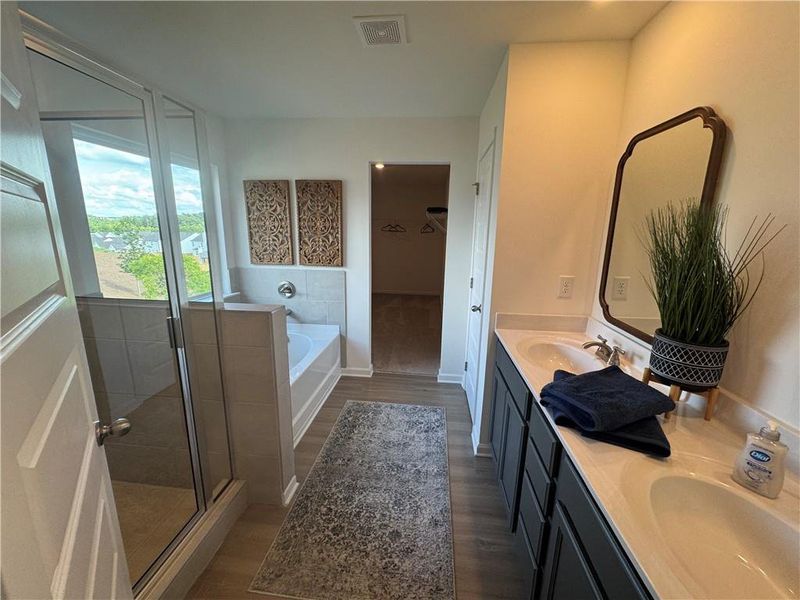 Furnished interior view inside a new home in The Reserve at Willow Oaks, Canton (Image 3).