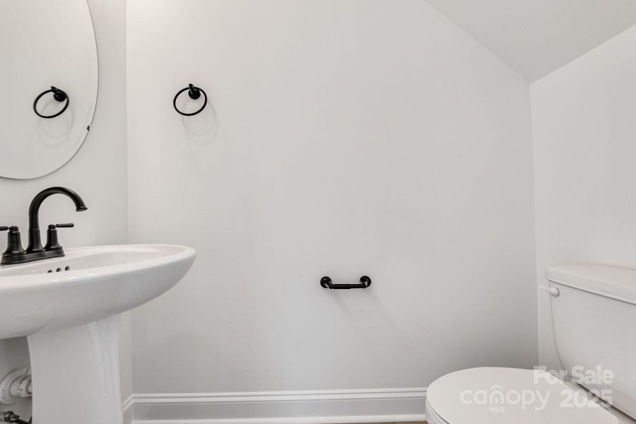 Representative Photos