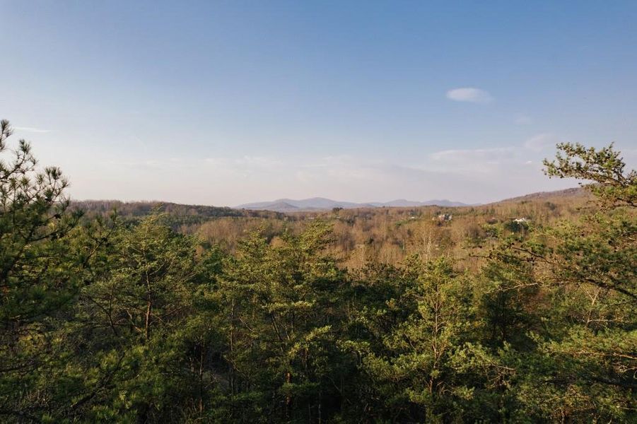 Natural landscape and outdoor views near  in Mineral Bluff (Image 38).