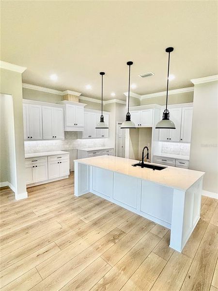 Furnished interior view inside a new home in , High Springs (Image 6).