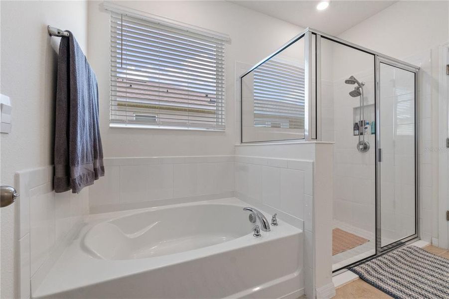 Furnished interior view inside a new home in , Harmony (Image 6).