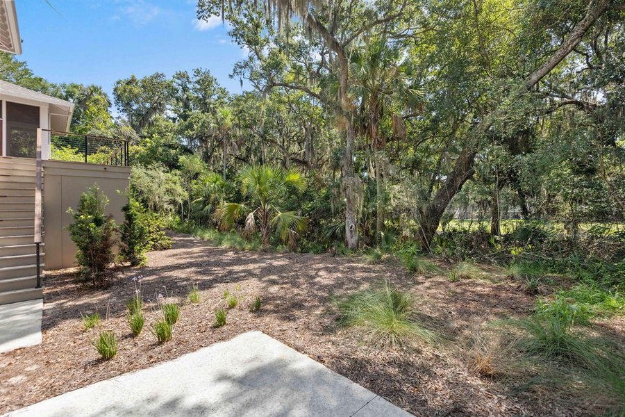 Natural landscape and outdoor views near  in Seabrook Island (Image 103).