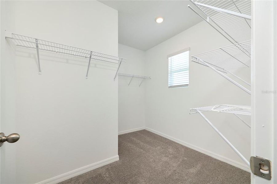 Spacious, unfurnished interior of a new home in Westgate at Avalon Park, Wesley Chapel (Image 44).