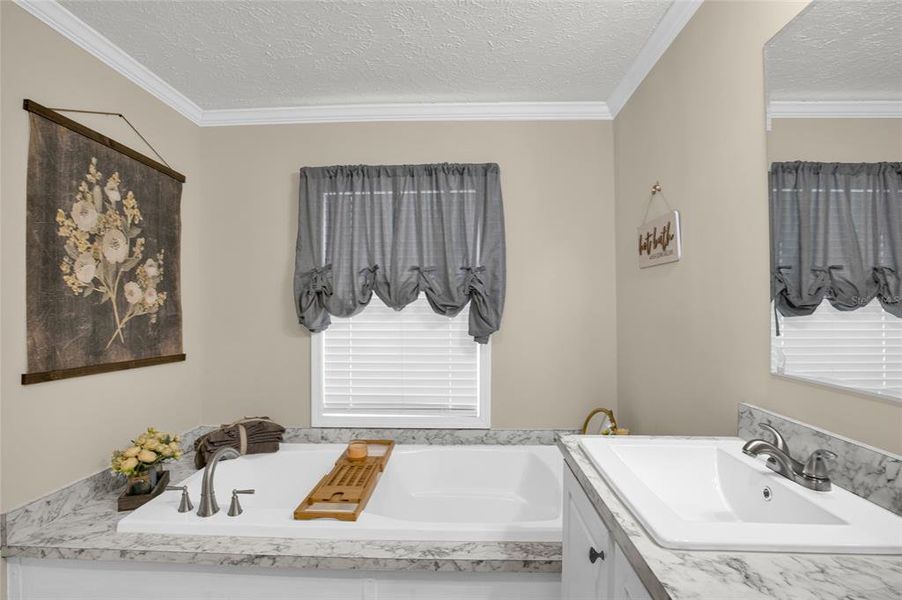 Furnished interior view inside a new home in , Hastings (Image 12). Furnished interior view inside a new home in , Hastings (Image 12).