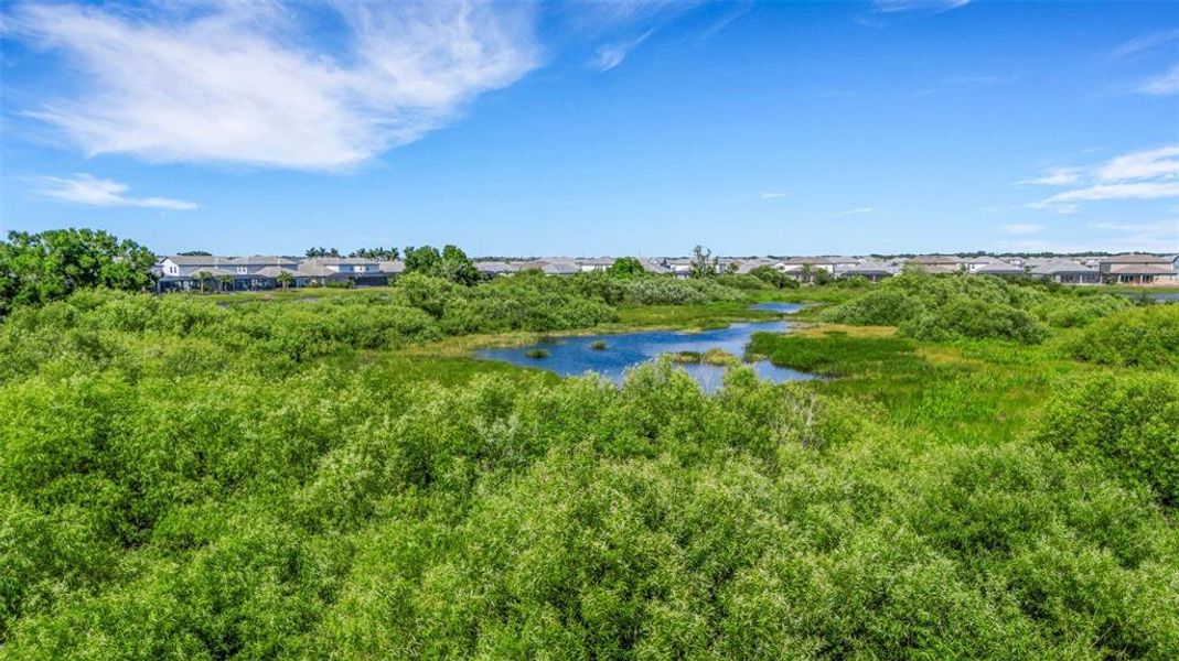 Natural landscape and outdoor views near  in Bradenton (Image 80).