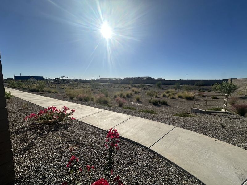 Walking path next to home