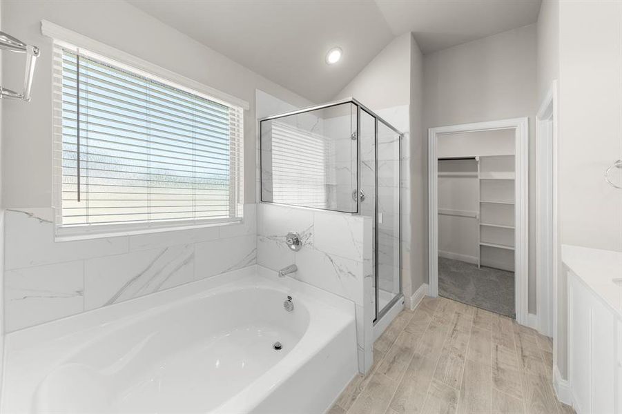 22. 141 Whistling Duck - Bath (3)