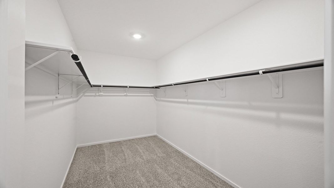 Spacious, unfurnished interior of a new home in Cypress Green, Hockley (Image 24).