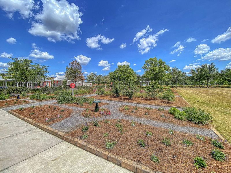 Site preparation for new homesites in Heron's Walk at Summers Corner, Summerville (Image 49).