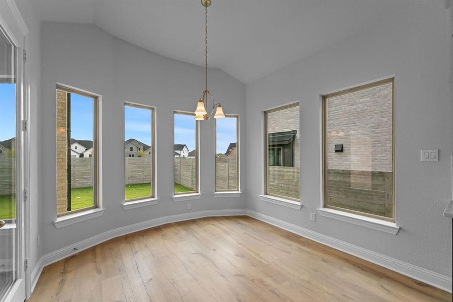 DAL_Painted Tree_Haskell II_4005 Gervais Drive (14)