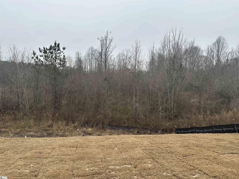 Image 40 of a home in Shiloh Trail.