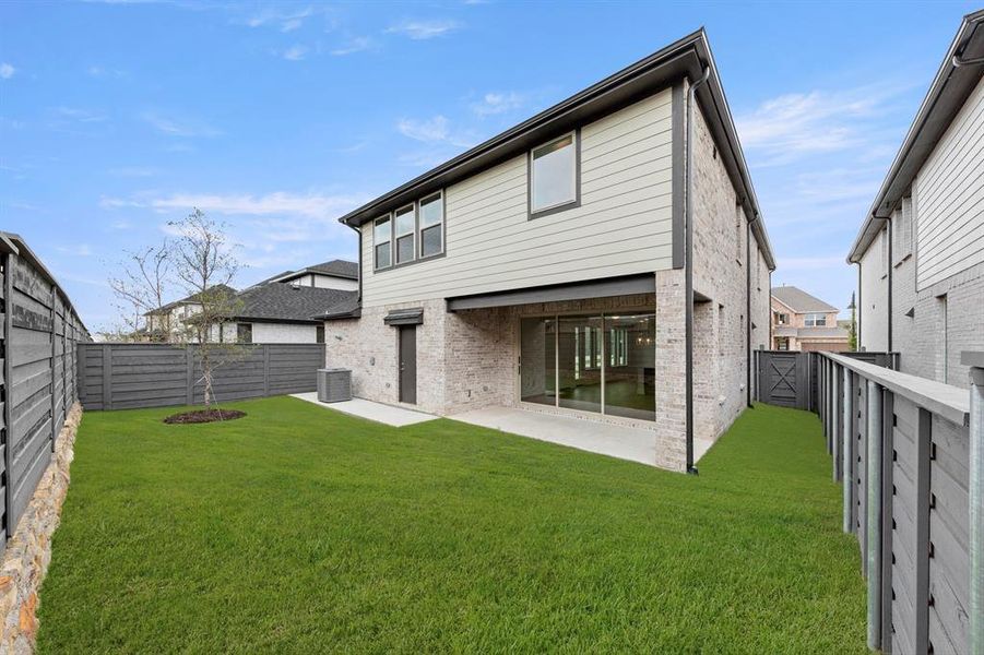 27. 1141 Amaryllis - Back (2)