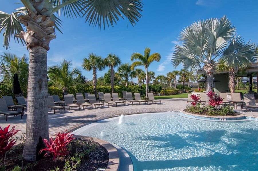Community amenities in River's Edge, Wesley Chapel (Image 64).